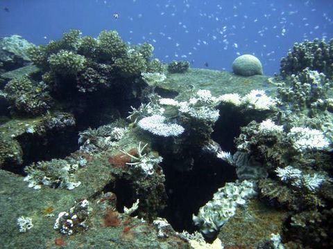 IMG_0530h.jpg