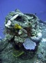 IMG_0627h.jpg