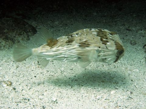 IMG_1129.jpg