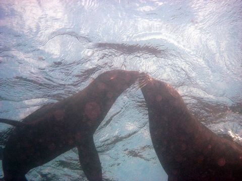 IMG_1417.jpg