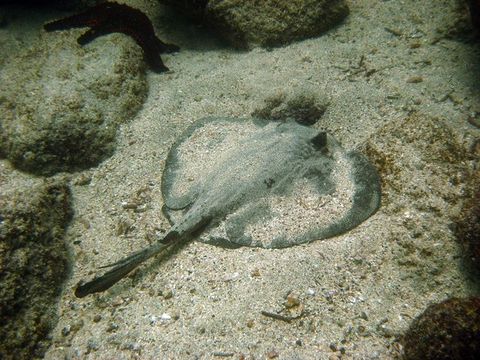 IMG_1506.jpg