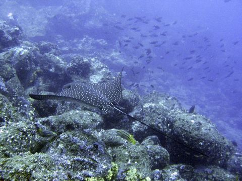 IMG_4321.jpg