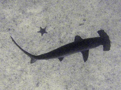 IMG_4374.jpg