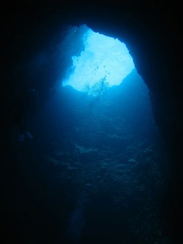 IMG_0729.JPG