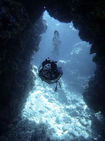 IMG_0833.jpg