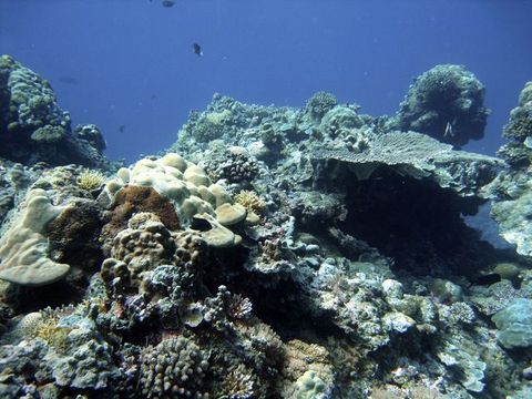 IMG_0834.jpg