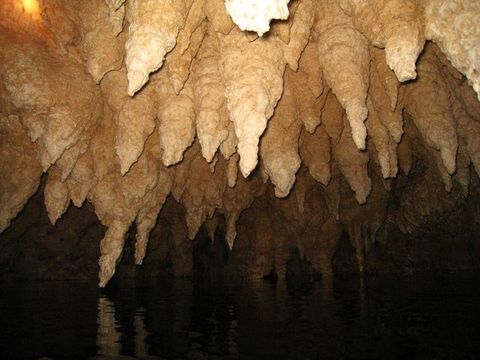 IMG_0946.JPG