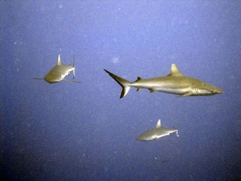 IMG_1052.jpg