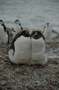 DSC_7159.JPG