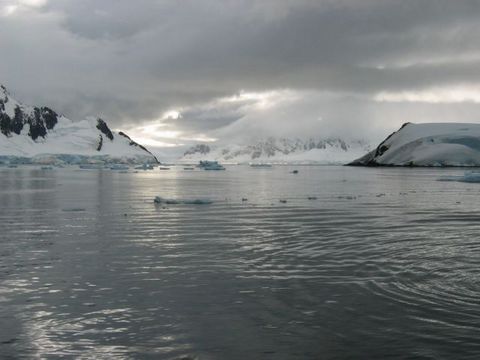 IMG_2459.JPG