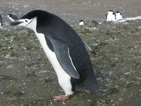 IMG_2739.JPG