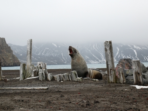 L1010595.JPG