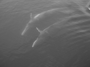 L1010870.JPG