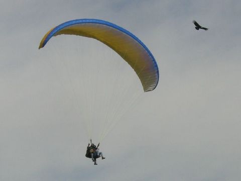 CIMG0042.JPG