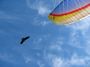 IMG_3215.JPG