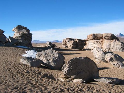 IMG_3579.JPG