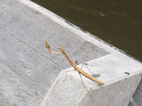 IMG_1605.JPG