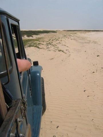 IMG_1652.JPG