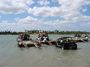 IMG_1686.JPG