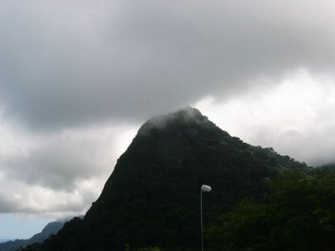 IMG_1910.JPG