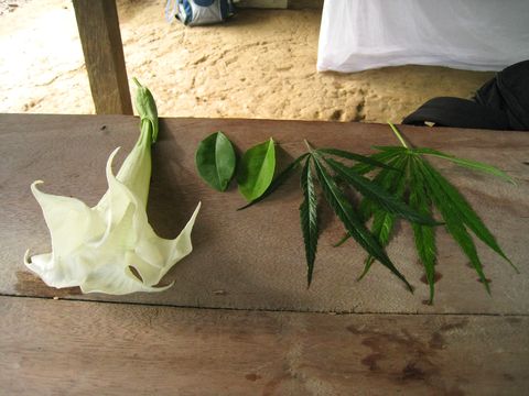 img_2731.jpg