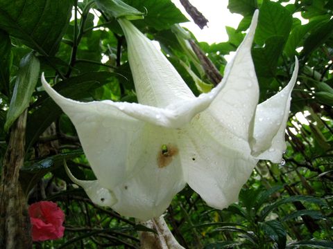 img_2735.jpg
