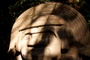 dsc_1571.jpg