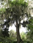 img_2680.jpg