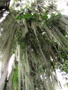 img_2686.jpg