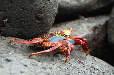 DSC_0019.JPG