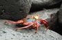 DSC_0019.JPG