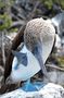 DSC_0096.JPG