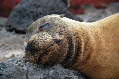 DSC_0451.JPG
