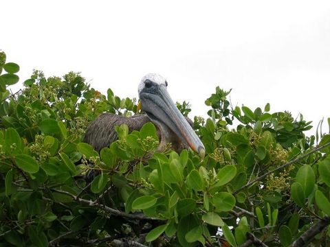 IMG_4545.JPG