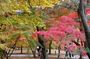 DSC_0166.JPG