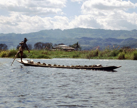 Myanmar---Inle-Leg-Rowers-2.jpg