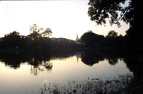 Myanmar---Shwedagon-from-the-Park.jpg
