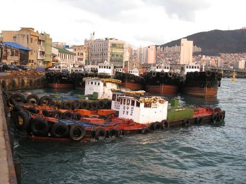 IMG_1504.JPG