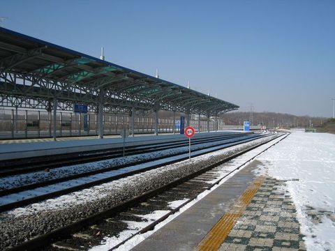 IMG_1529.JPG