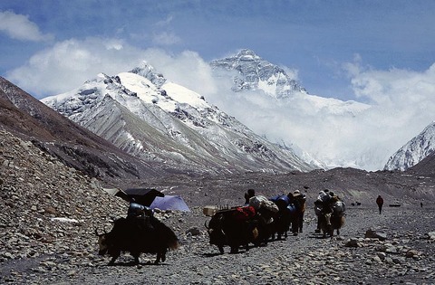 Tibet-17.jpg