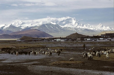 Tibet-21.jpg