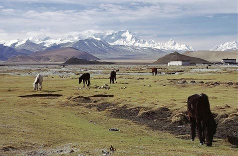 Tibet-22.jpg
