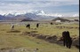 Tibet-22.jpg