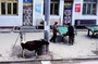 Tibet-46.jpg