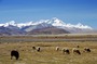 Tibet-72.jpg
