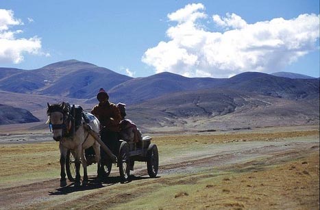Tibet-75.jpg