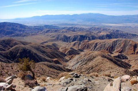 DSC_0983.JPG