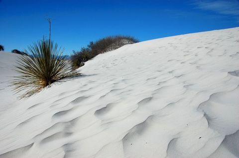 DSC_1032.JPG