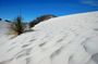 DSC_1032.JPG