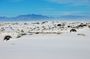 DSC_1034.JPG